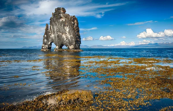 Hvitserkur — Foto de Stock