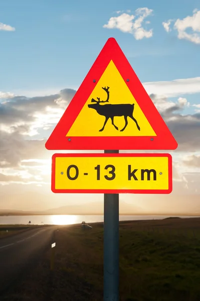 Beware of reindeers — Stock Photo, Image