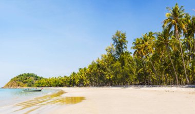 Balıkçı tekne ve palmiye deniz, Myanmar üzerinde asılı ngapal güzel plaj