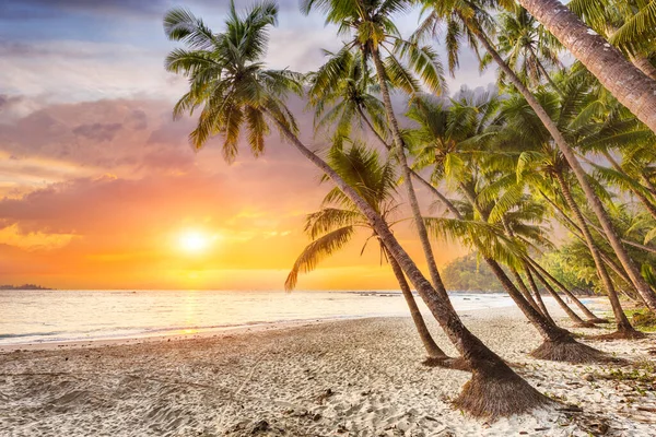 Bellissimo Tramonto Sul Mare Visto Attraverso Palme Cocco Sulla Spiaggia — Foto Stock