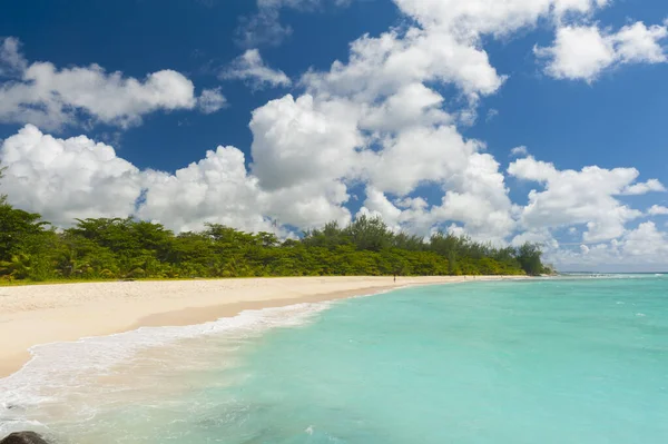 Wiertarka Plaży Jest Piękne Plaże Wyspie Barbados Karaiby — Zdjęcie stockowe