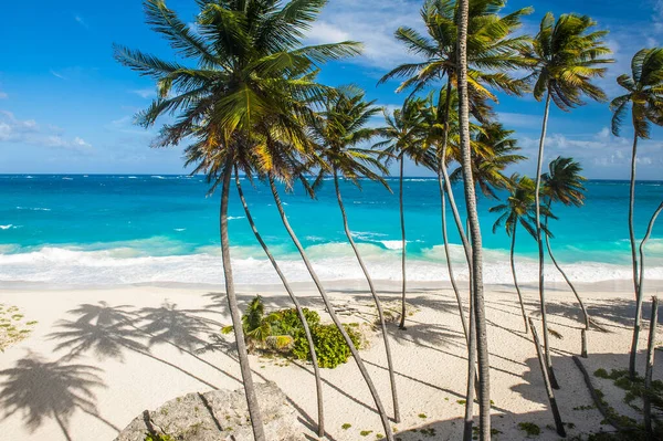 底部湾是在加勒比海巴巴多斯岛上最美丽的海滩之一 这是一个热带天堂与棕榈树挂在绿松石海 — 图库照片