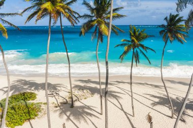 alt bay barbados Karayip Adası üzerinde en güzel plajlarından biridir. Turkuaz deniz üzerinde asılı avuç içi ile tropikal bir cennet