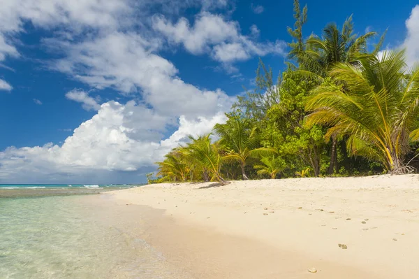 Drill Beach Una Bellissima Spiaggia Sull Isola Caraibica Barbados — Foto Stock