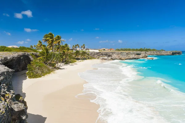 Dolní Zátoka Jedním Nejkrásnějších Pláží Karibském Ostrově Barbados Tropický Ráj — Stock fotografie