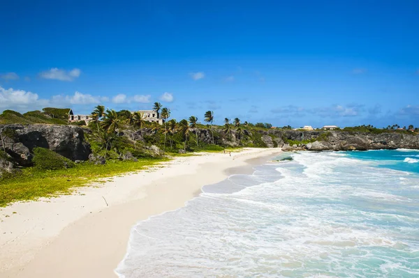 Plaża Harrismith Jest Jedną Najpiękniejszych Plaż Karaibskiej Wyspie Barbados Jest — Zdjęcie stockowe