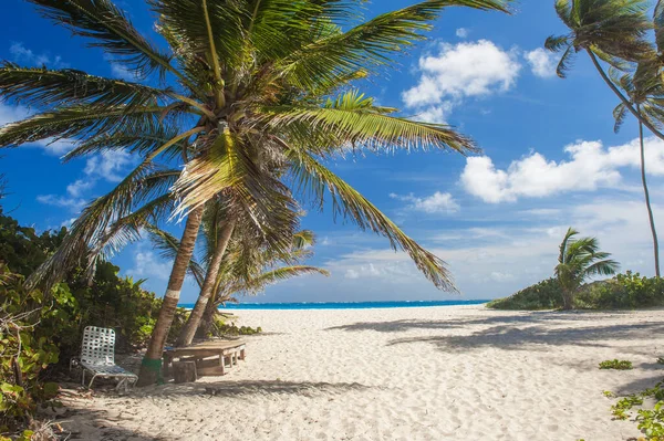 alt bay barbados Karayip Adası üzerinde en güzel plajlarından biridir. Turkuaz deniz üzerinde asılı avuç içi ile tropikal bir cennet