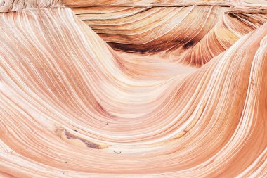 Dalga, Coyote Buttes North 'taki taşlaşmış kum tepecikleri şeklinde müthiş canlı bir girdaptır. Paria Canyon-Vermilion Cliffs Wilderness, Arizona 'da görülebilir. ABD