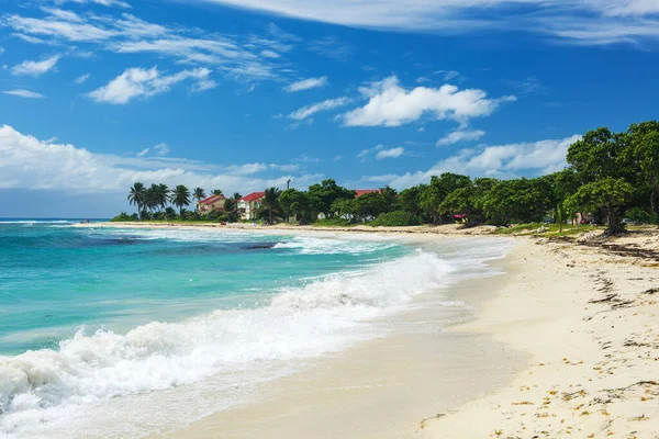 Famous Sandy Raisins Clairs Beach Saint Francois Town Guadeloupe Caribbean — Foto Stock