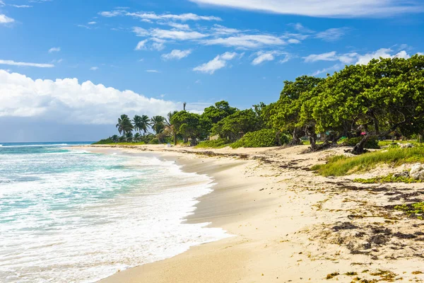 Famous Sandy Raisins Clairs Beach Saint Francois Town Guadeloupe Caribbean — Foto Stock