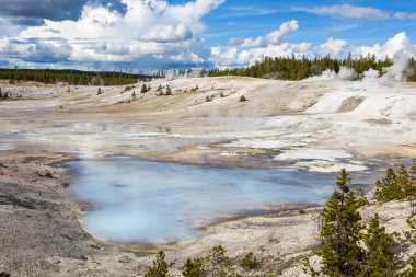 Norris Gayzer Havzası 'nda buharlı, opak termal havuzlar. Yellowstone Ulusal Parkı, Wyoming - ABD