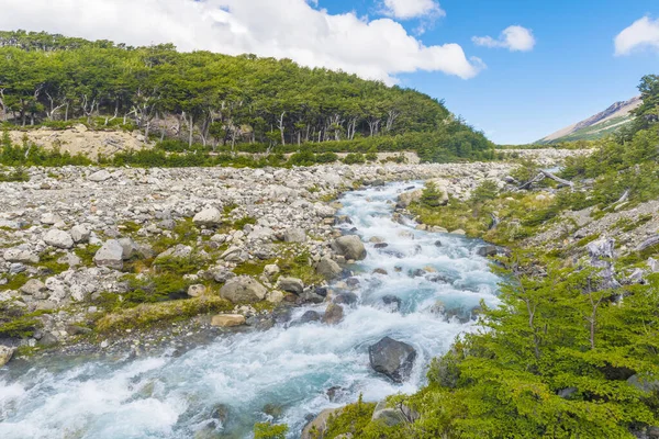 Vackra Snabba Bäcken Spåret Till Glaciar Piedras Blancas Los Glaciares — Stockfoto