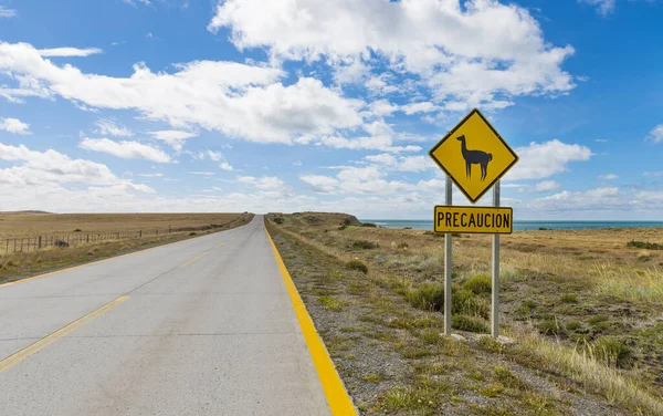 Strzeż Się Znaku Lamas Pobliżu Chilijskiej Drogi Chile Patagonia Ameryka — Zdjęcie stockowe
