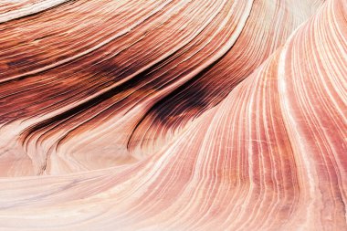 Dalga, Coyote Buttes North 'taki taşlaşmış kum tepecikleri şeklinde müthiş canlı bir girdaptır. Doğal kaya arka planı