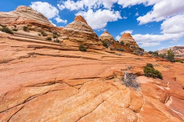 Cooyote Buttes Northで鮮やかな砂岩の形成 これらの地層は カナブ ページ アリゾナの町の間のパリアキャニオン 朱色の崖の荒野で見ることができます アメリカ — ストック写真