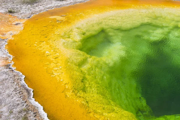 Deatiled Photo Morning Glory Pool Yellowstone National Park Wyoming Usa — Stock Photo, Image