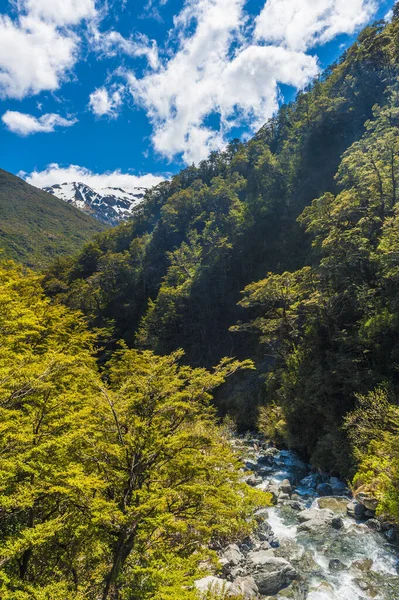 Река Били Найдена Национальном Парке Артурс Пасс Новая Зеландия — стоковое фото