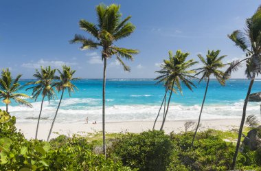 alt bay barbados Karayip Adası üzerinde en güzel plajlarından biridir. Turkuaz deniz üzerinde asılı avuç içi ile tropikal bir cennet