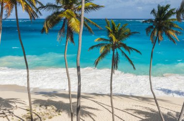 alt bay barbados Karayip Adası üzerinde en güzel plajlarından biridir. Turkuaz deniz üzerinde asılı avuç içi ile tropikal bir cennet