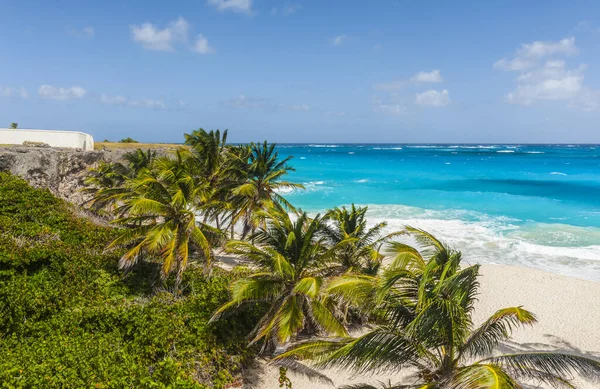 Dolní Zátoka Jedním Nejkrásnějších Pláží Karibském Ostrově Barbados Tropický Ráj — Stock fotografie