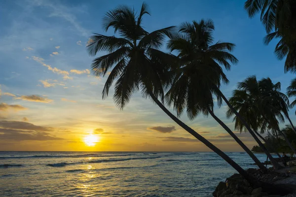 Piękny Zachód Słońca Nad Morzem Widokiem Palmy Białej Plaży Karaibskiej — Zdjęcie stockowe