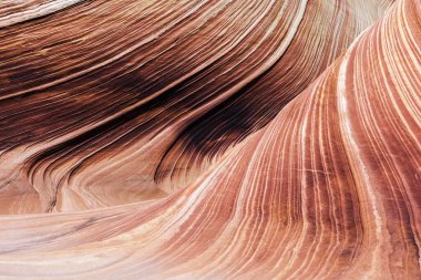 Dalga, Coyote Buttes North 'taki taşlaşmış kum tepecikleri şeklinde müthiş canlı bir girdaptır. Paria Canyon-Vermilion Cliffs Wilderness, Arizona 'da görülebilir. ABD