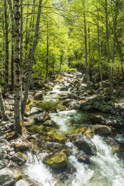 Yosemite Ulusal Parkı 'nda turkuaz suyu ve çok sayıda kaya bulunan Wild Merced nehri. Uzun pozlama. Kaliforniya, ABD