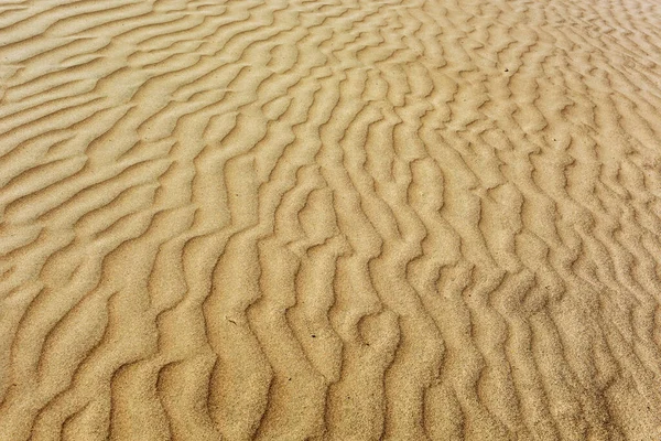 Detalle Una Hermosa Duna Arena Del Desierto — Foto de Stock