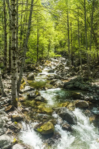 Wilder Merced Fluss Mit Türkisfarbenem Wasser Und Vielen Geröll Yosemite — Stockfoto
