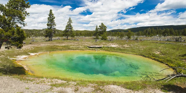 Szép Meleg Tavasz Yellowstone Nemzeti Parkban Wyoming Amerikai Egyesült Államok — Stock Fotó