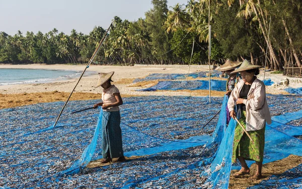 Ngapali Myanmar February 2016 Women Standing Beach Myanmar Drying Fish — Stock Photo, Image