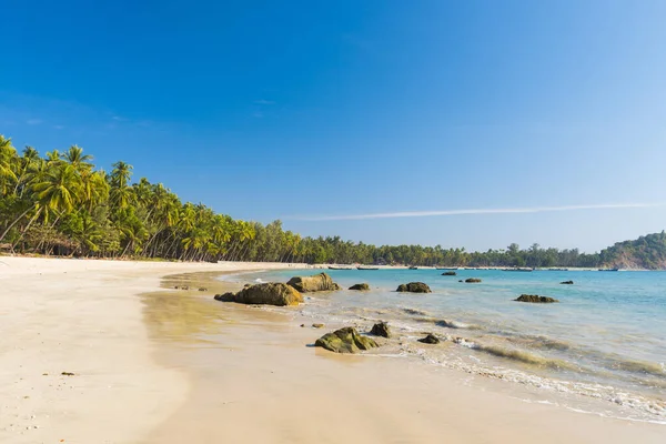 Ngapal 'ın güzel plajı, denizin üzerinde palmiyeler asılı, Myanmar.
