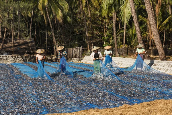 Ngapali Myanmar February 2016 Women Standing Beach Myanmar Drying Fish — Stock Photo, Image
