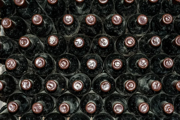 Stare Butelki Wina Dojrzewające Piwnicy Winami — Zdjęcie stockowe