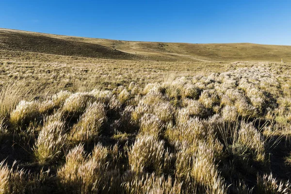 Dry Grass Hills Plains Patagonia Pampas Argentina — Stock fotografie