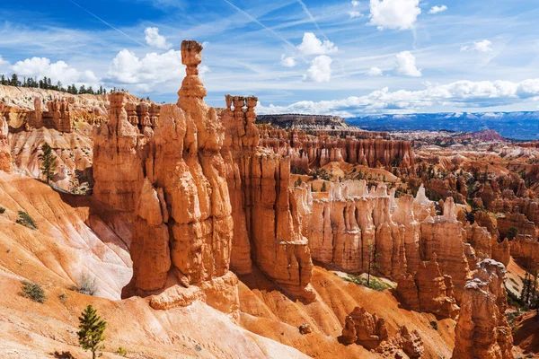 Detalle Los Hoodoos Rosados Final Tarde Parque Nacional Bryce Canyon —  Fotos de Stock