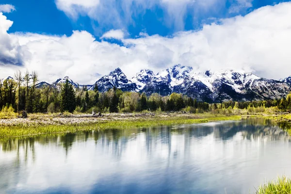 Reflexão Dos Picos Montanha Schwabacher Pouso Grand Teton Parque Nacional — Fotografia de Stock