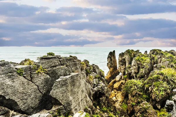 Famoso Panqueque Rock Punakaiki Parque Nacional Paparoa Nueva Zelanda — Foto de Stock