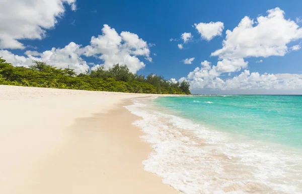 Дрилл Бич Красивый Пляж Карибском Острове Барбадос — стоковое фото