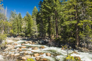 Yosemite Ulusal Parkı 'nda turkuaz suyu ve çok sayıda kaya bulunan Wild Merced nehri. Kaliforniya, ABD