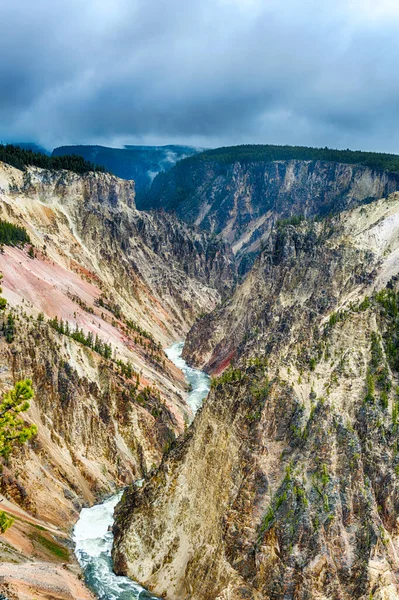 Visa Levande Grand Canyon Yellowstone Och Yellowstone River Sett Från — Stockfoto