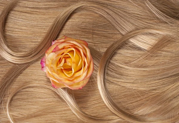 Longo loiro humano brilhante cabelo com uma rosa — Fotografia de Stock