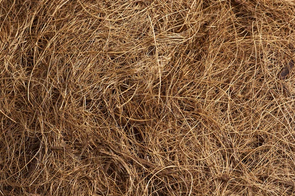 Coconut Fiber Background Coconut Coir — Stock Photo, Image