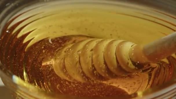 Honung Droppar Häller Från Honung Dipper Glasskål — Stockvideo