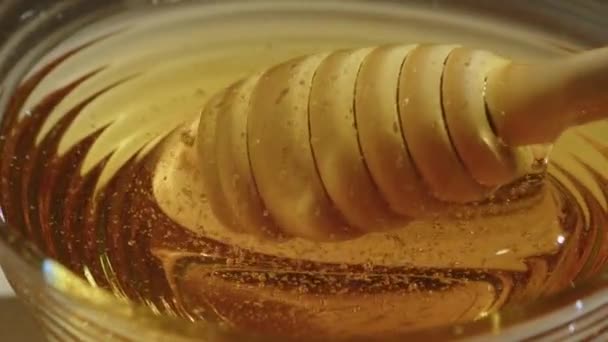Μέλι Στάζει Ρίχνει Από Μέλι Dipper Γυάλινο Μπολ — Αρχείο Βίντεο