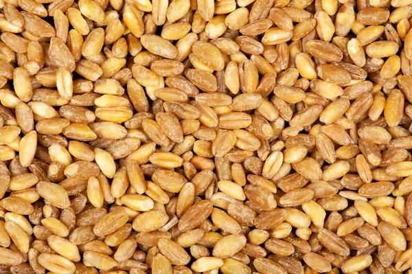 Close View Wheat Grains Background Agricultural Background — Stock Photo, Image