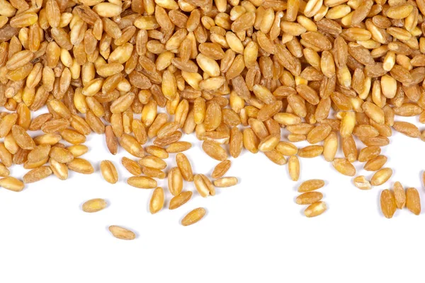 Arka planda buğday tanelerini yakın plan olarak görebilirsiniz. Tarım geçmişi.