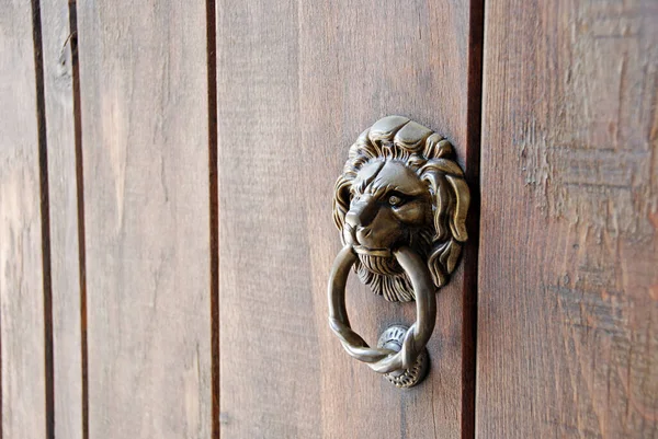 Old Wooden Door Lion Head Knocker — Foto de Stock