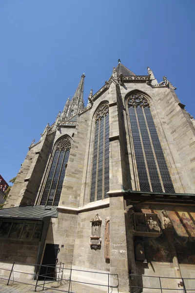 Cathedral sacred stephan vienna — Stock Photo, Image