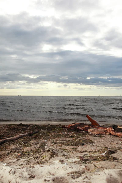 Şişe plaj deniz ve gökyüzü — Stok fotoğraf